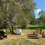 Polna Mieta Stronie Śląskie