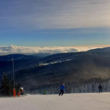 Вилла Polna Mieta Строне-Слёнске
