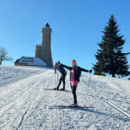 Вилла Polna Mieta Строне-Слёнске