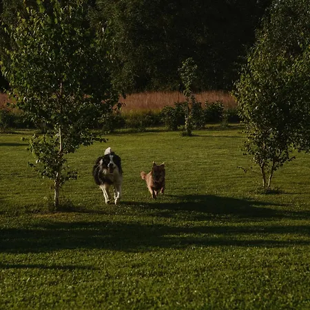 Вилла Polna Mieta *