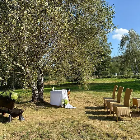 Polna Mieta Stronie Śląskie