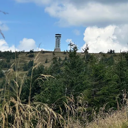 Polna Mieta Вилла *