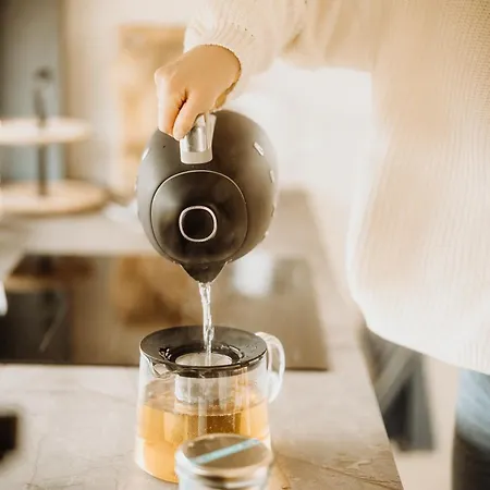 Вилла Polna Mieta Строне-Слёнске