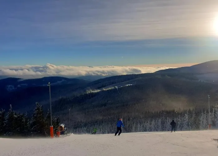 Villa Polna Mieta Stronie Śląskie