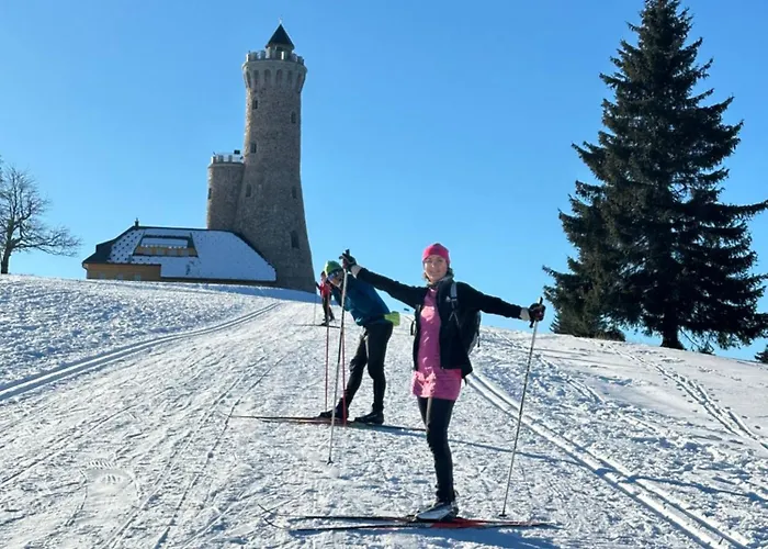 Villa Polna Mieta Stronie Śląskie