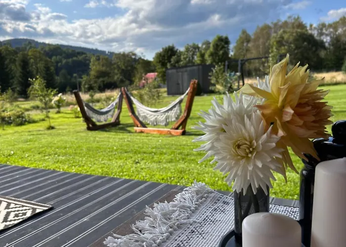 Polna Mieta Stronie Śląskie