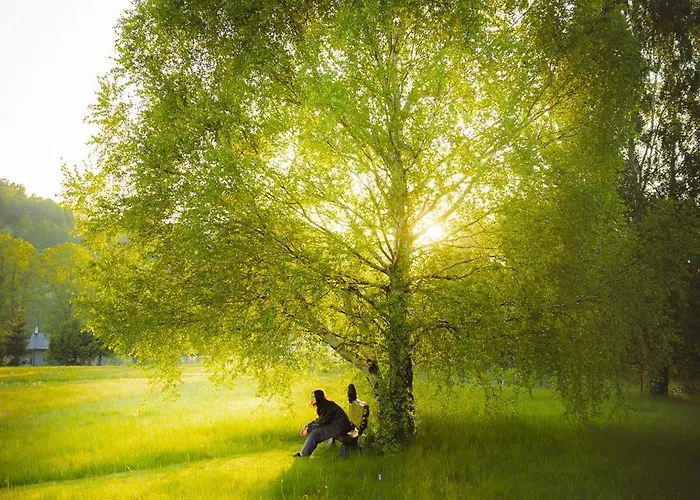 Villa Polna Mieta Stronie Śląskie